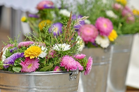 arrangement, bouquet, bucket, chrysanthemum, decoration, romantic, nature, flower, flowers, summer