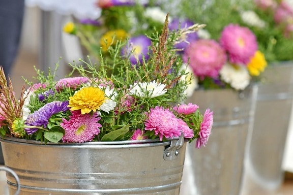 arrangement, bouquet, bucket, flowers, metal, flower, summer, plant, pink, leaf
