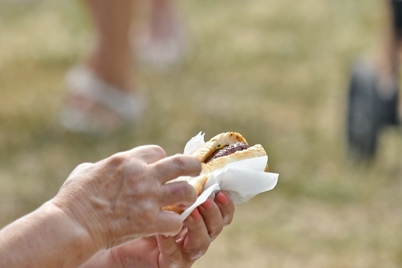 delicious, finger, sandwich, summer season, outdoors, people, food, nature, hand, grass