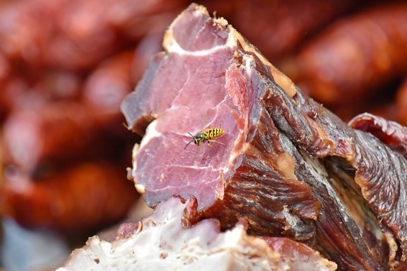 baken, Ham, insect, vlees, wesp, varkensvlees, rundvlees, ongewervelden, barbecue, biefstuk