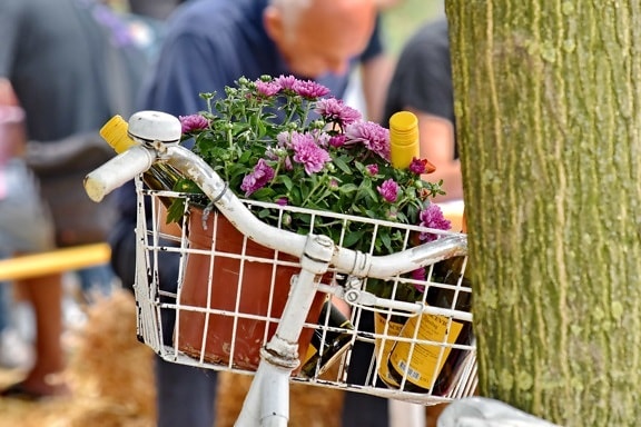 kerékpár, palackok, vörös bor, Csendélet, virágok, szabadban, élelmiszer, nyári, természet, nő