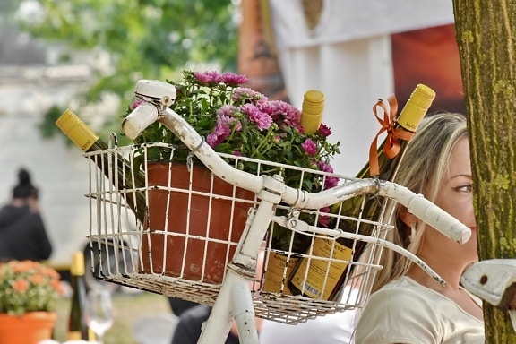 bicycle, blonde hair, bottles, flowerpot, picnic, pretty girl, promoter, red wine, vintage, basket