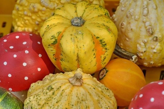 trh, zboží, dýně, sklizeň, squash, zelenina, podzim, výživa, Příroda, jídlo