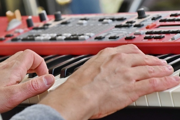 instrument, music, musician, professional, synthesizer, equipment, device, hand, play, man