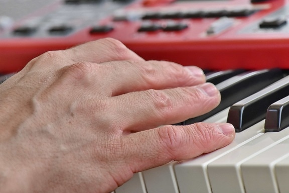 akkord, finger, fingerspids, pianist, synthesizer, musik, hånd, elfenben, instrument, klaver