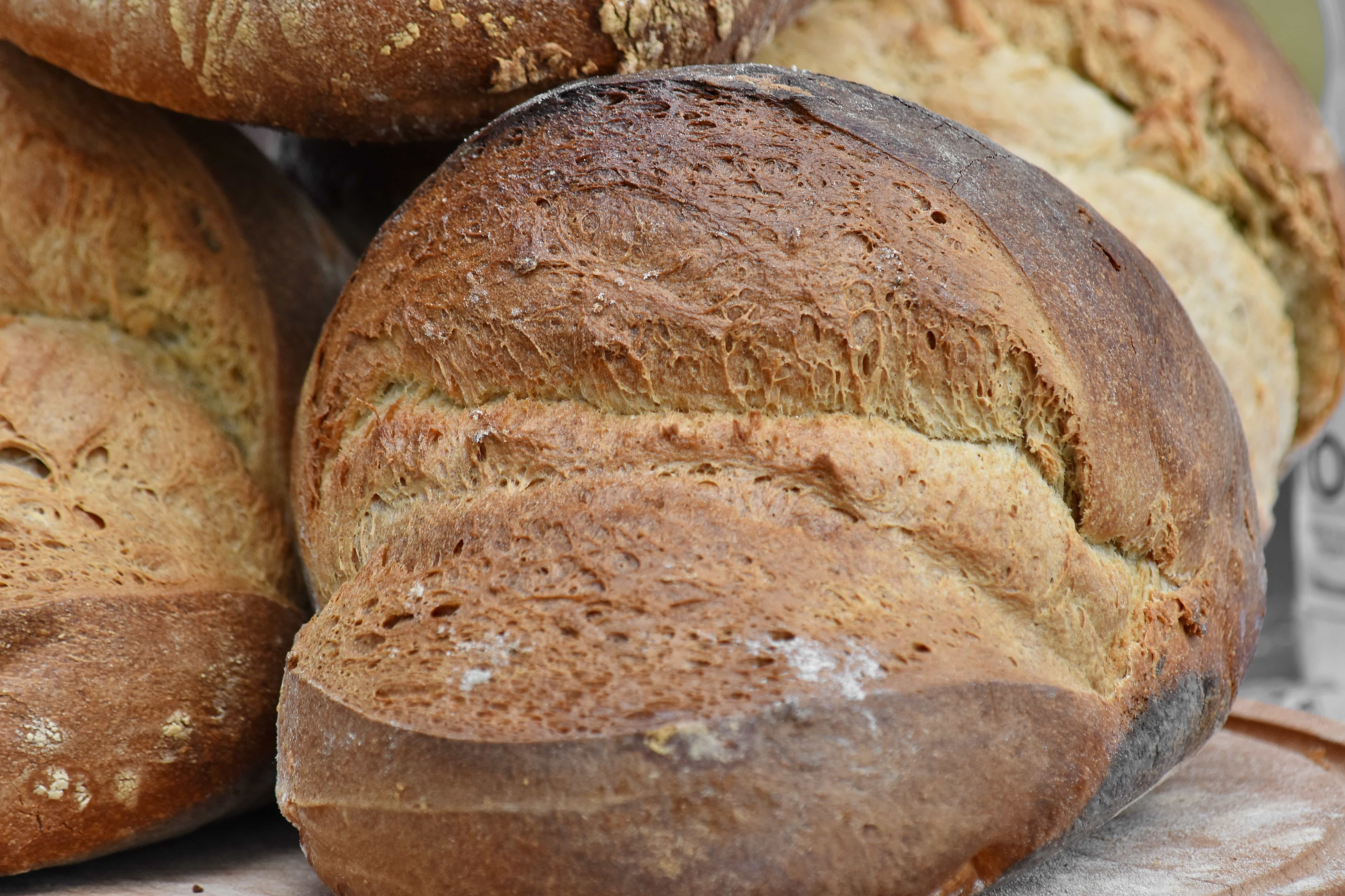 Free Picture Baked Goods Barley Bread Homemade Organic Rye Breakfast Flour Food Wheat