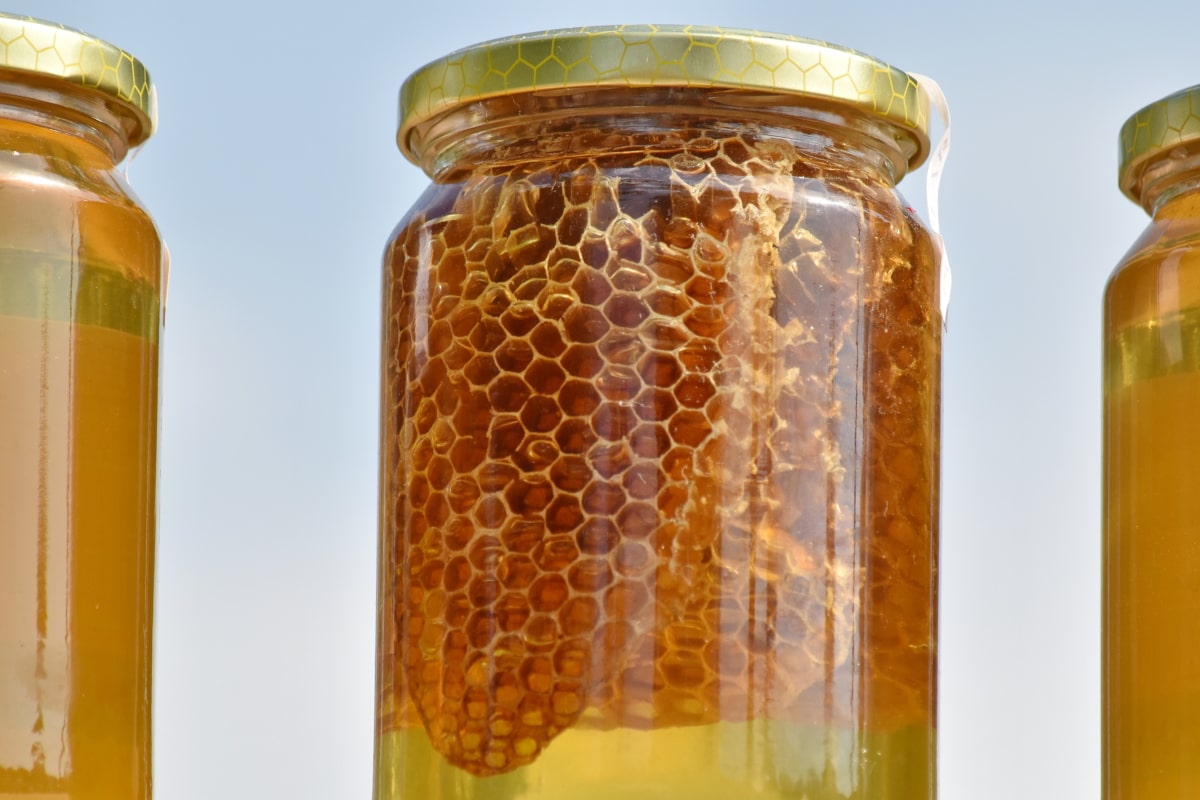 honung, Honeycomb, jar, full, läckra, traditionella, sommar, näringslära, bota, ingredienser