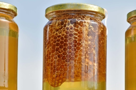 honning, Honeycomb, krukke, fuld, lækker, traditionelle, sommer, ernæring, kur, ingredienser