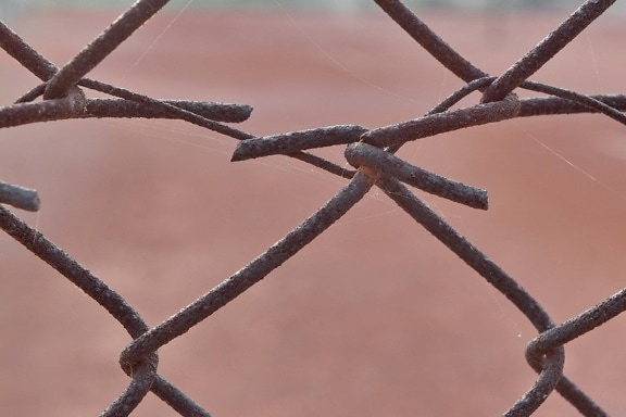 barbed wire, close-up, fence, iron, rust, wires, barrier, branch, cast iron, chain