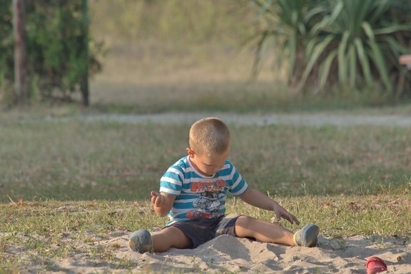 dječak, dječje igralište, pijesak, dijete, trava, zabava, na otvorenom, priroda, ljeto, rekreacija