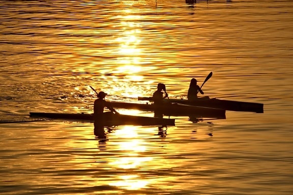 canoa, gozo, brilho dourado, recreação, silhueta, desporto, trabalho em equipe, pôr do sol, amanhecer, água