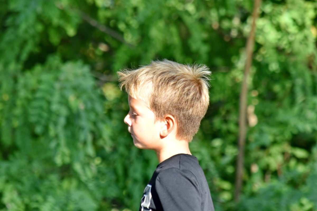 blonde hair, boy, forest, portrait, side view, child, nature, summer, outdoors, cute
