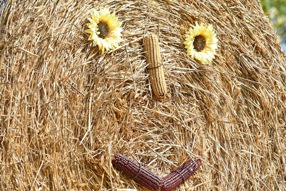 corn, decoration, face, funny, hay, still life, feed, straw, field, cereal