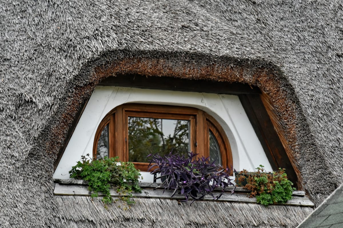 bloempot, dak, stro, traditie, venster, huis, huis, het platform, hout, oude