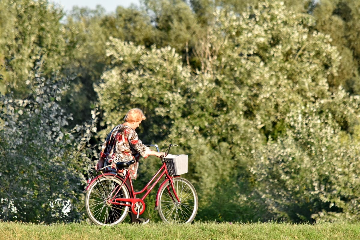 fiets, genot, bos, grootmoeder, levensstijl, natuur, recreatie, ontspanning, wandelen, wiel