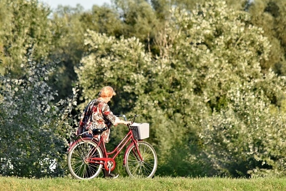 bicycle, enjoyment, forest, grandmother, lifestyle, nature, recreation, relaxation, walking, wheel