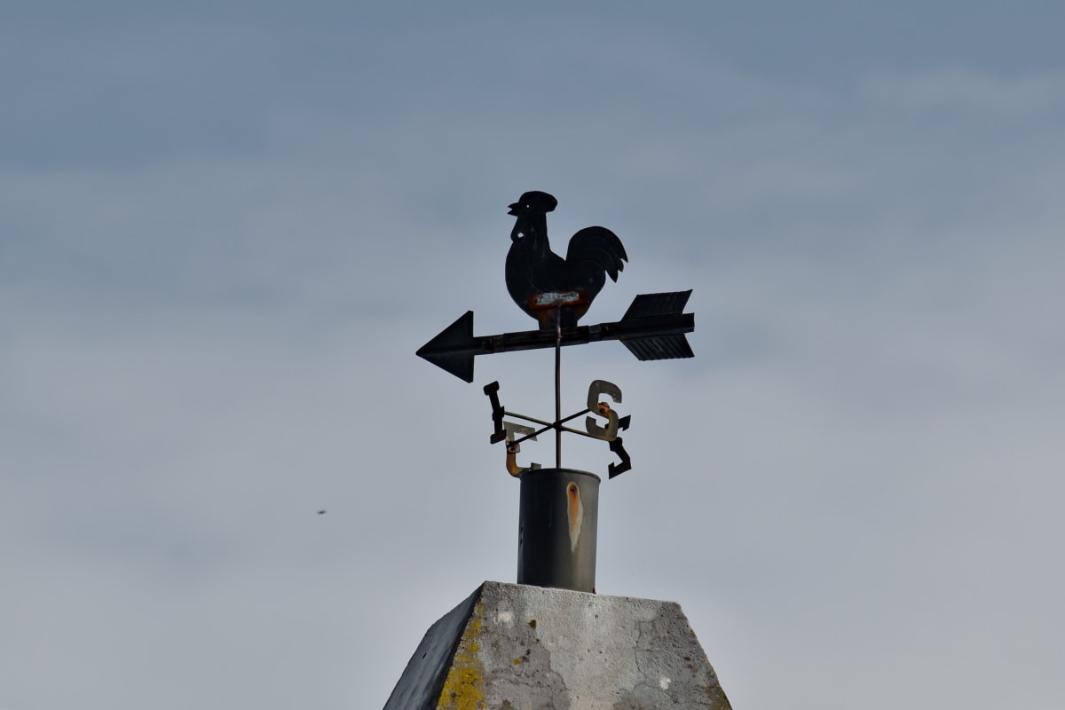 cast iron, chimney, rooster, west wind, stabilizer, device, bird, outdoors, wind, nature
