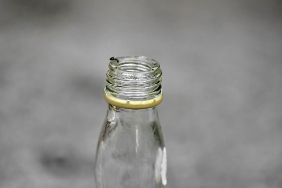 detail, focus, glass, grey, insect, container, bottle, purity, outdoors, still life