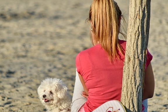 海滩, 享受, 漂亮女孩, 放松, 狗, 宠物, 女人, 休闲, 户外活动, 夏天