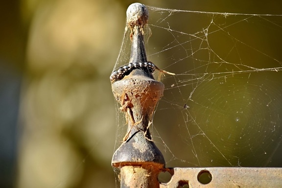 cast iron, detail, metal, object, spider web, nature, garden, color, old, hanging