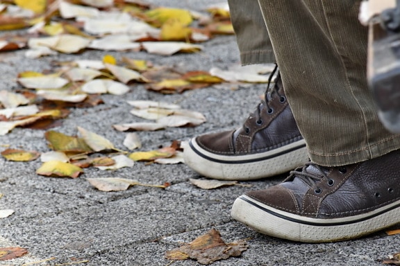 秋のシーズン, 茶色, 履物, 革, スニーカー, 黄色の葉, 靴, 通り, 靴, カバー