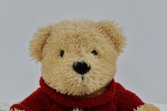 plush, toy, teddy bear toy, winter, gift, cute, fur, wool, funny, cold