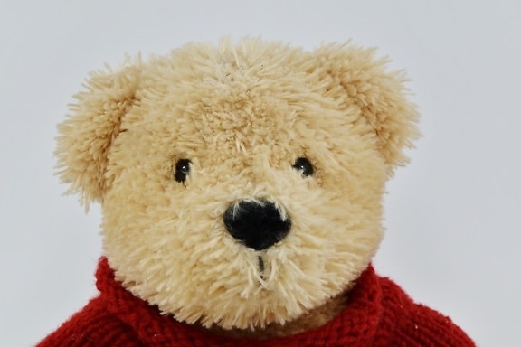 head, light brown, plush, stuffed, teddy bear toy, toy, love, gift, cute, bear