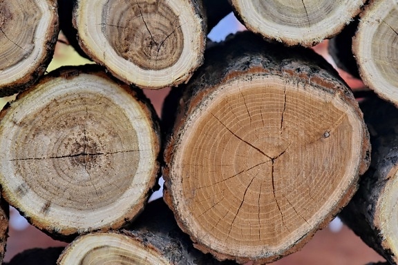 wood, trunk, bark, firewood, tree, industry, nature, round, stacks, wooden