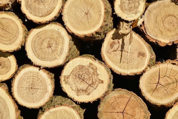 bark, firewood, wood, round, trunk, tree, stacks, texture, pile, brown