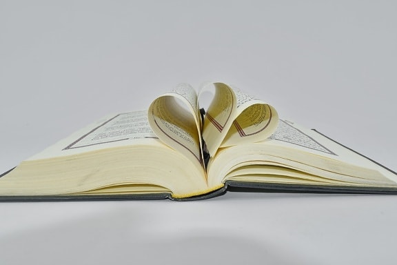 book, detail, information, page, research, side view, knowledge, wisdom, literature, education