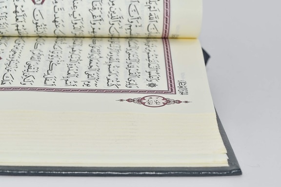 алфавит, арабский, Книга, твердая обложка, язык, Бумага, страница, образование, текст, знания