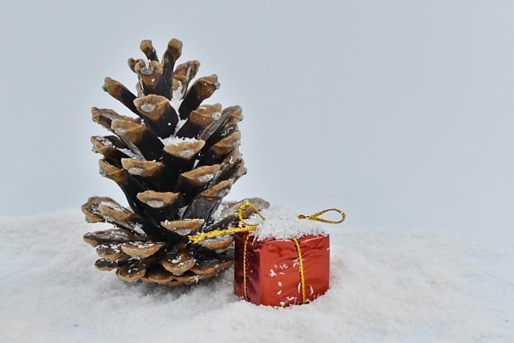 침 엽 수, 선물, 눈, 트리, 겨울, 크리스마스, 감기, 프 로스트, 나무, 소나무