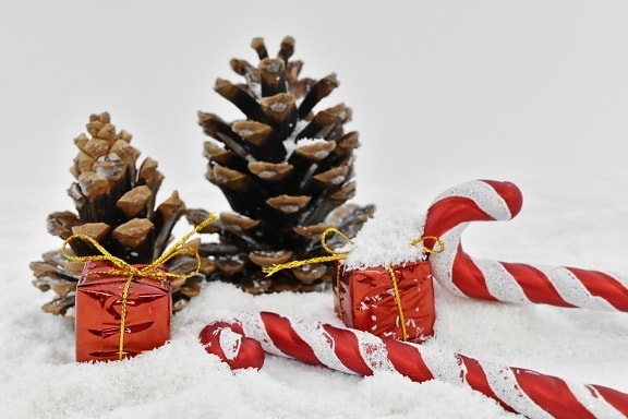 Boże Narodzenie, Dekoracja, wakacje, zimowe, śnieg, drzewo, celebracja, wątek, sosna, sezon