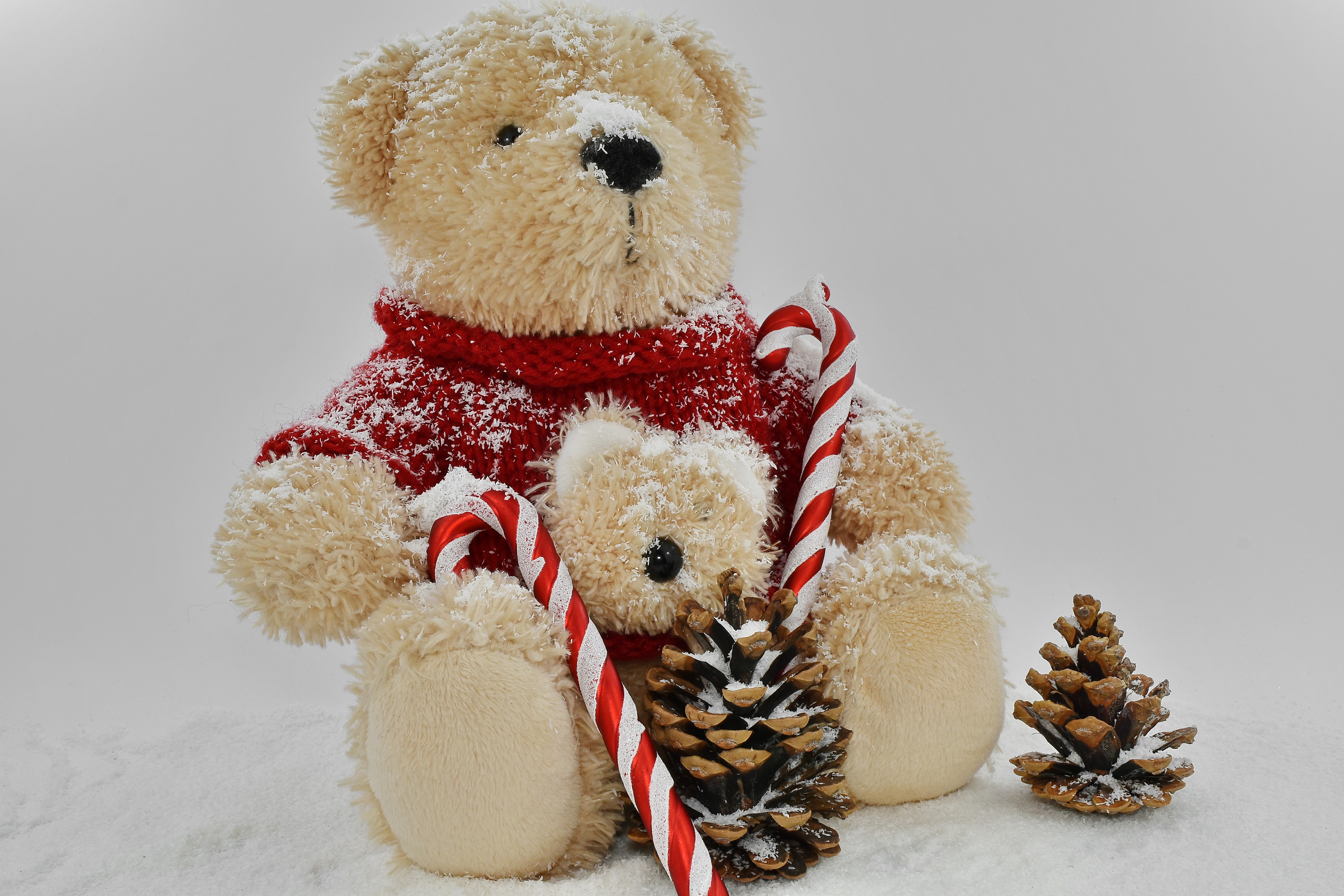 フリー写真画像 クリスマス 装飾 休日 ぬいぐるみ 雪 雪の結晶 テディベアおもちゃ グッズ 冬 かわいい