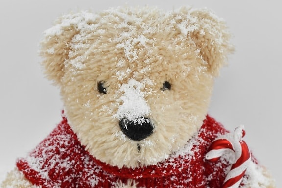head, snow, snowflakes, sweater, teddy bear toy, toy, cute, bear, winter, christmas