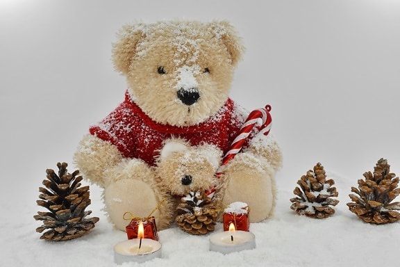 decoration, toy, christmas, teddy bear toy, snow, gift, bear, cold, celebration, tree