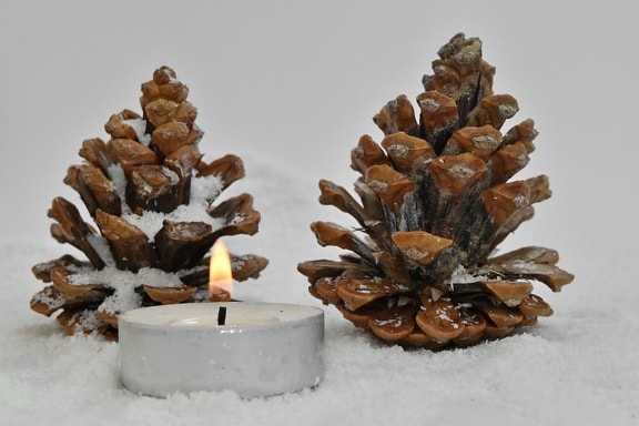 conifers, seed, snowflakes, wooden, blur, brown, candle, candlelight, celebration, christmas