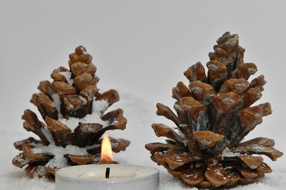 candlelight, cone, conifer, holiday, snow, art, blur, brown, christmas, decoration