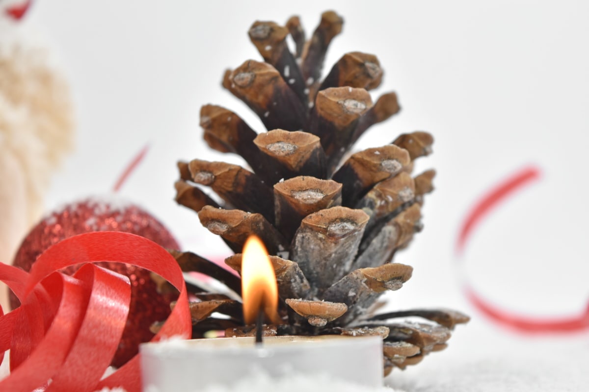 candle, candlelight, christmas, conifer, decoration, still life, blur, bright, brown, celebration