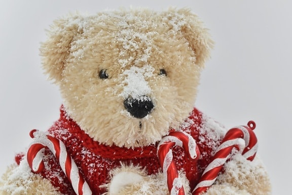 christmas, toy, teddy bear toy, snow, gift, winter, frost, traditional, fun, cold