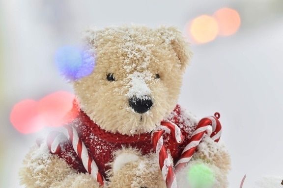 Teddybär Spielzeug, Spielzeug, Spielzeugladen, Spielzeug, Schnee, Winter, Bär, Weihnachten, niedlich, traditionelle