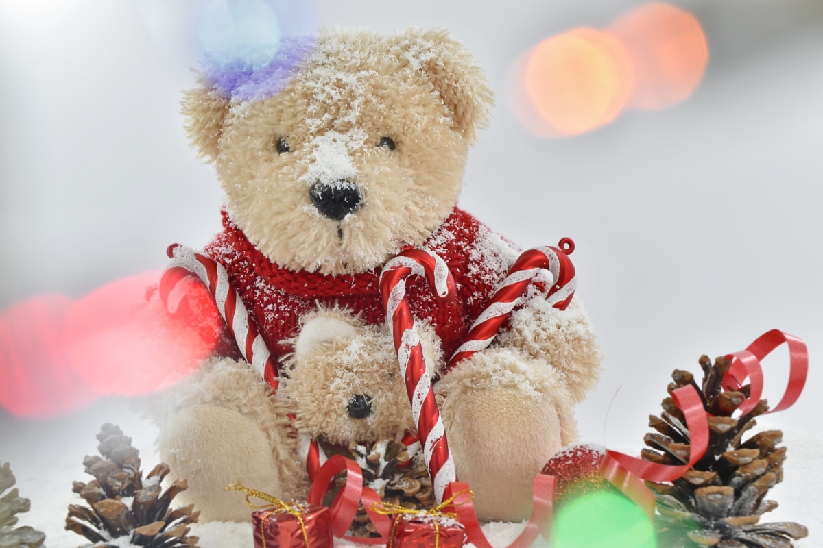 vánoční, světla, hračka medvídka, dárek, sníh, zimní, hračka, medvěd, tradiční, oslava