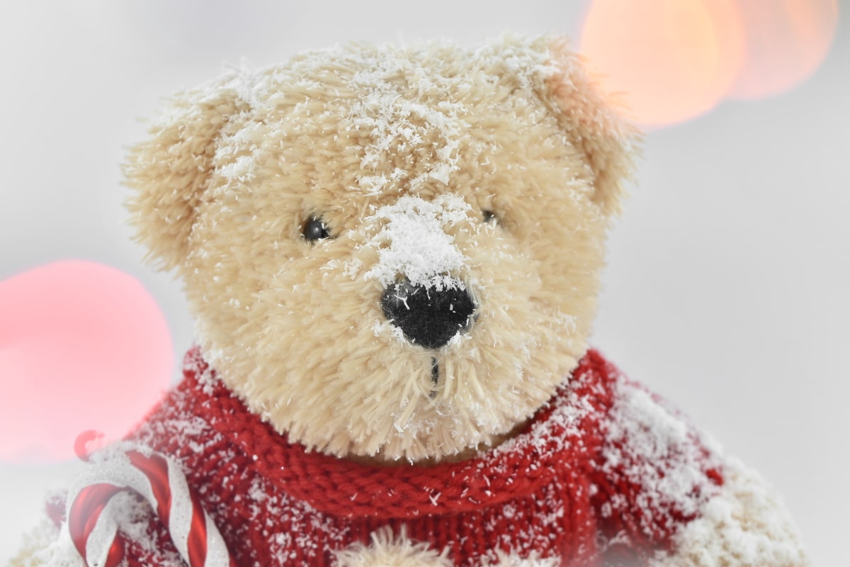 με οπίσθιο φωτισμό, φως, ανοιχτό καφέ, χιόνι, νιφάδες χιονιού, πουλόβερ, παιχνίδι αρκουδάκι, παιχνίδι, αρκούδα, δώρο
