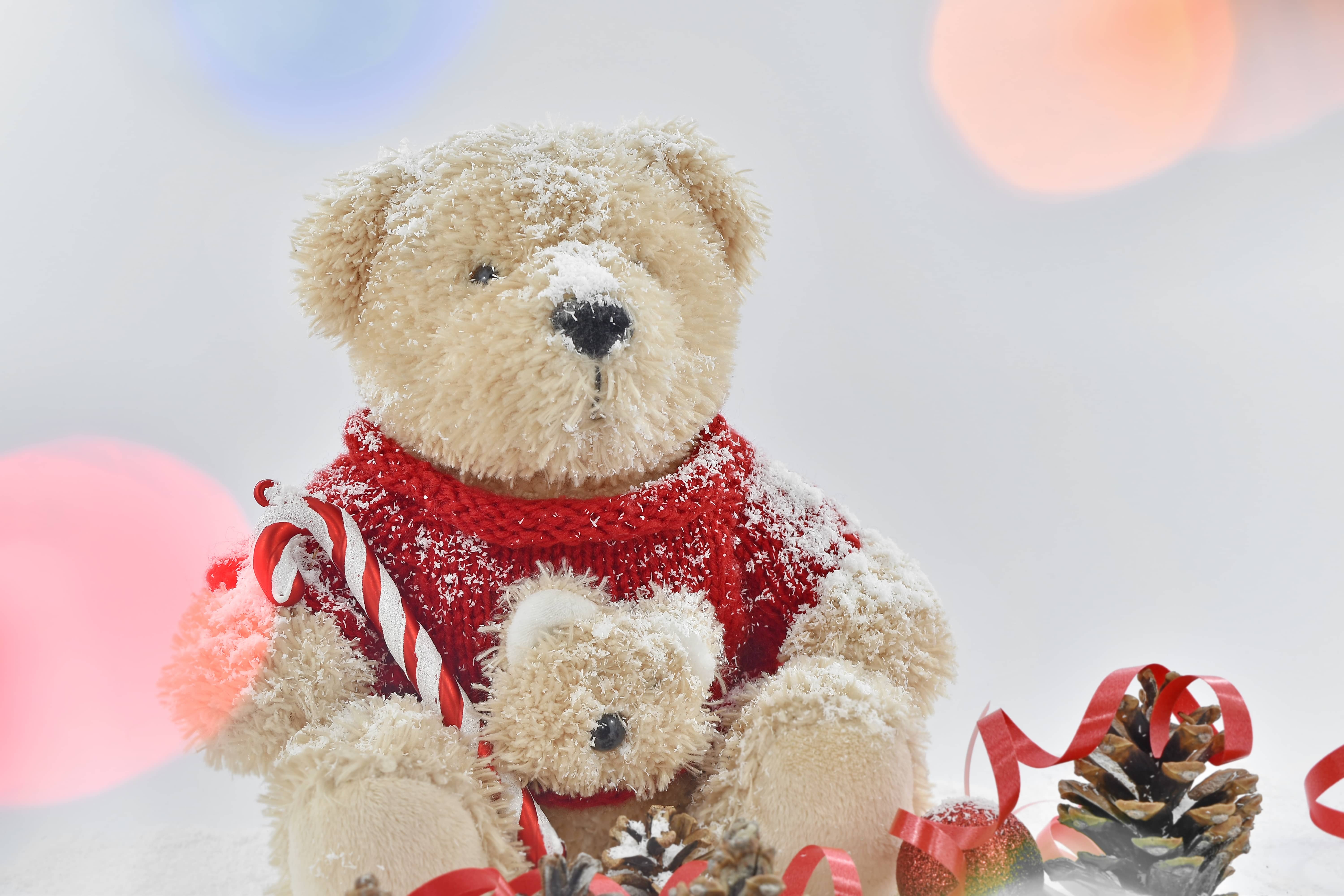 基督教, 圣诞节, 假日, 泰迪熊玩具, 动物, 熊, 棕色, 庆祝, 童年, 冷