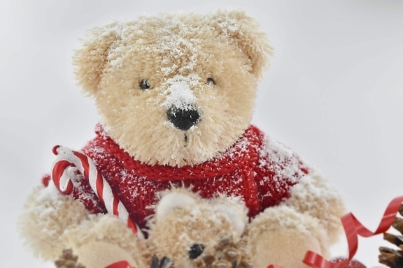 christmas, frost, gifts, sitting, teddy bear toy, toy, soft, gift, winter, snow