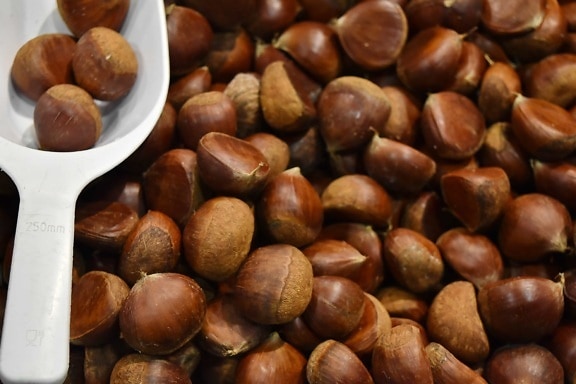 kernel, chestnut, brown, seed, food, health, ingredients, nutrition, batch, hazel