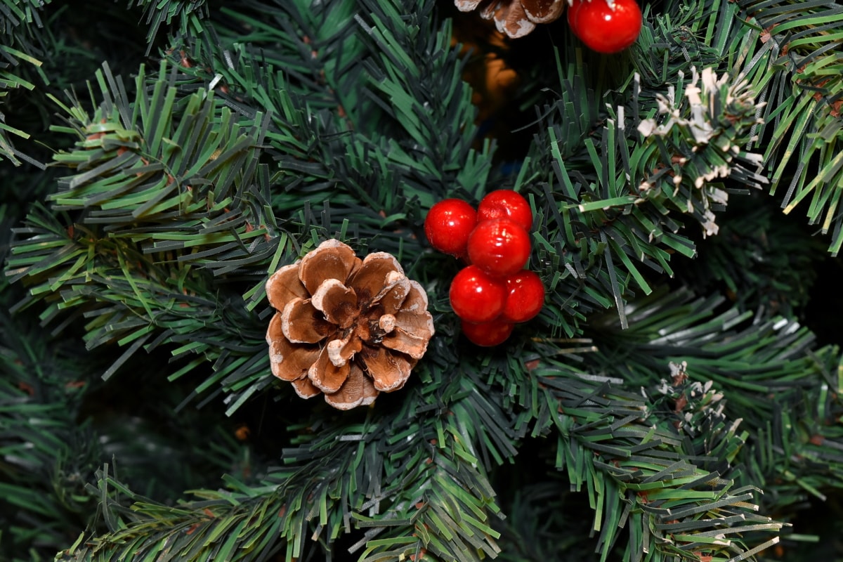 果実, クリスマス, クリスマスツリー, 針葉樹, 飾り, 装飾, 針葉樹, 冬, エバー グリーン, ツリー