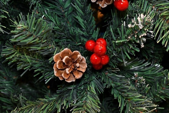 Berry, Natal, drzewko świąteczne, tumbuhan runjung, Ornamen, dekorasi, Conifer, musim dingin, Evergreen, pohon
