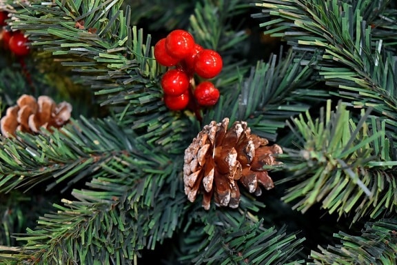 Natal, árvore de natal, coníferas, decorativos, de suspensão, ornamento, plástico, Pinheiro, decoração, sempre verde