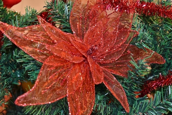 pobočky, vianočný strom, ihličnany, dekorácie, vždy zelená, bylina, zimné, strom, Vianoce, farba